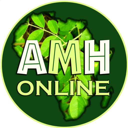 Cropped Amh 2022 New Logo 01a 1200.png