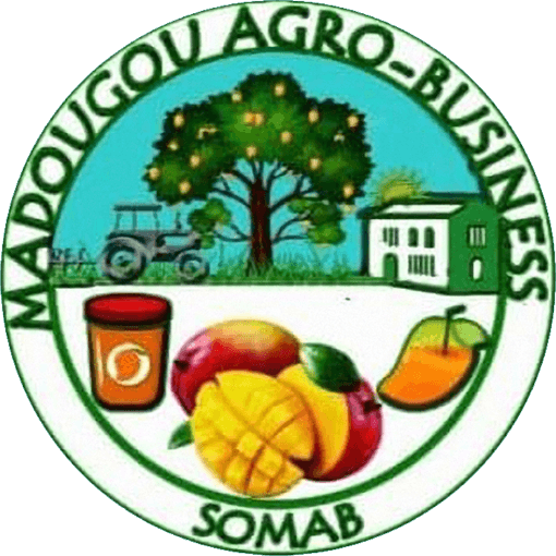 Madougou Afro Business