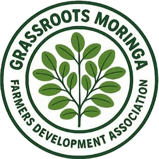 Grassroots moringa