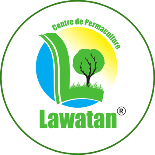 Lawatan